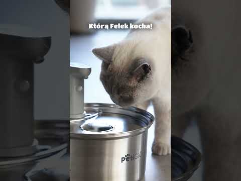 Kabelloser intelligenter Brunnen/Tränke für Tiere Peti-to-Eat PETI-150 – Bild 9